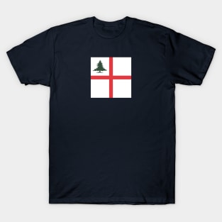 battle of bunker hill Flag T-Shirt